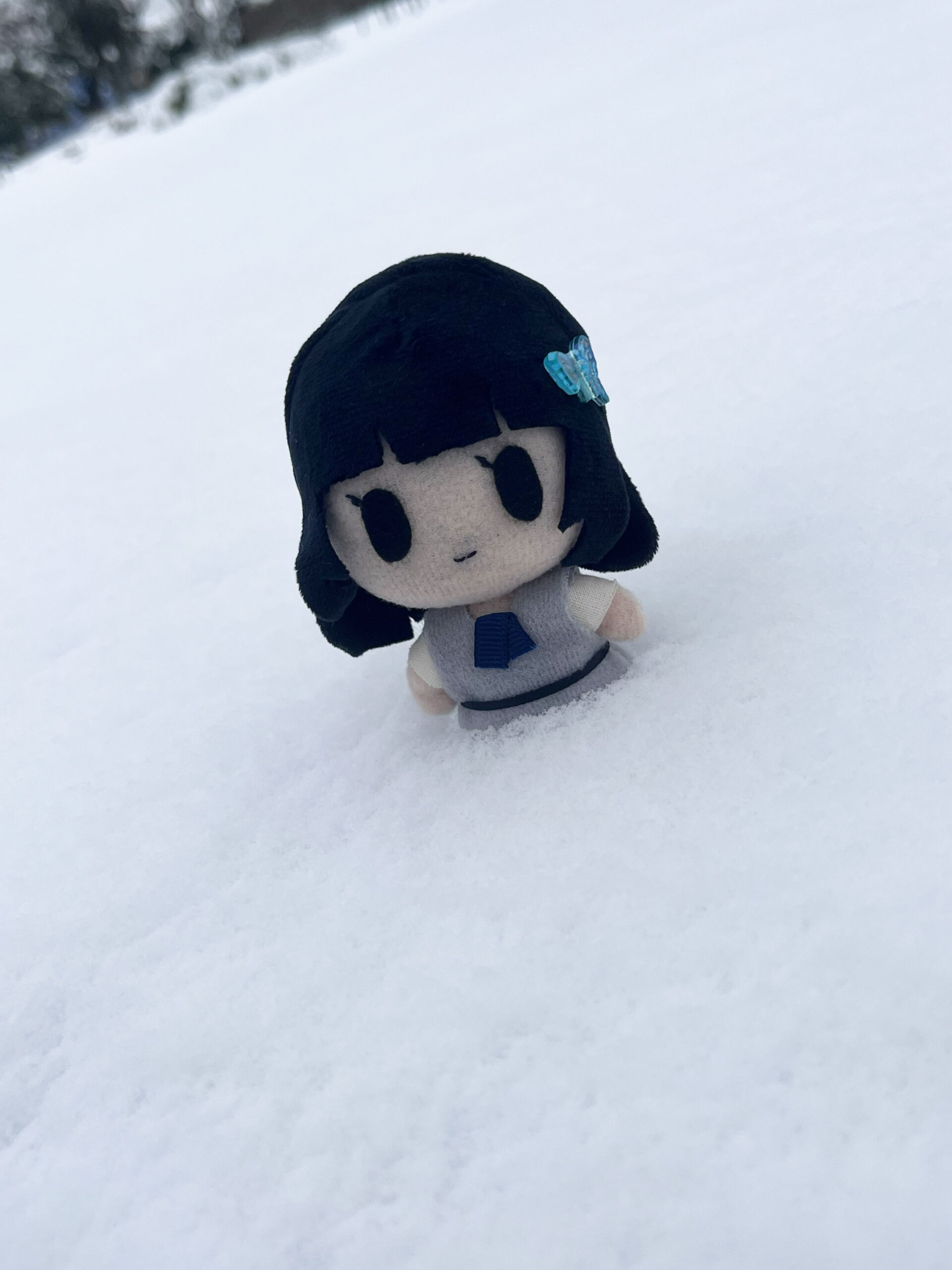 雪だっ！！